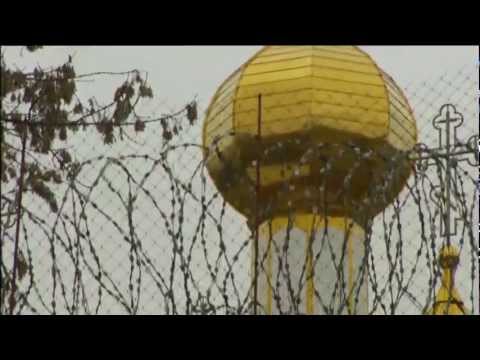Видео: Качановская колония