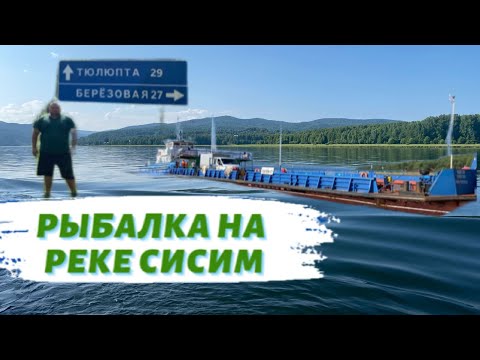 Видео: РЕКА СИСИМ. СИСИМ. ПОЙМАЛ ТАЙМЕНЯ.