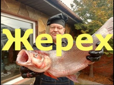 Видео: Жерех  в духовке целиком с морковкой по корейски