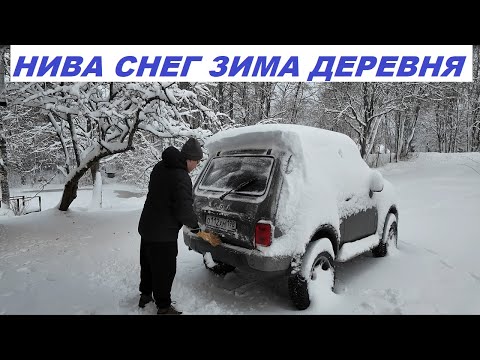 Видео: НИВА Снег Зима Деревня