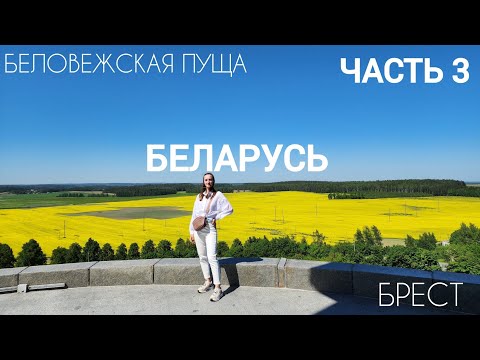 Видео: Беловежская пуща / Брест / Часть 3