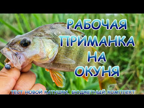 Видео: Окунь как с пулемёта!!! Ловился только на одну приманку! Микроджиг ловит!