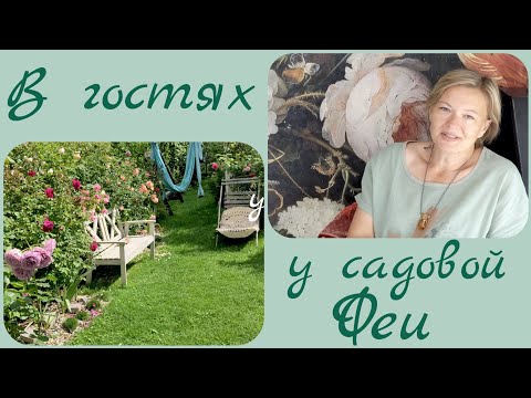 Видео: Розы-Занозы в Фарфоровом саду Оксаны Сахаровой. 28 августа 2023 г.