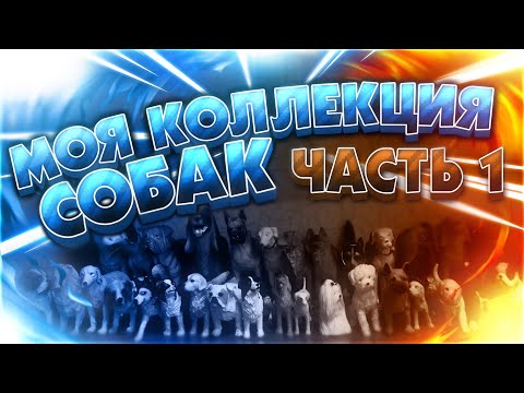 Видео: МОЯ КОЛЛЕКЦИЯ СОБАК | ШЛЯЙХ, КОЛЛЕКТА, ПОДДЕЛКИ | 1 ЧАСТЬ