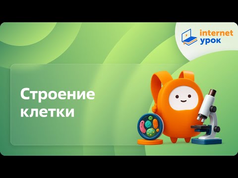 Видео: Биология 5 класс. Строение клетки