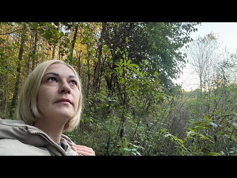 Видео: Деревенский 🏡влог за неделю,спокойная 🍁осень,ремонт ⚒️продолжаю,и помогаю соседу