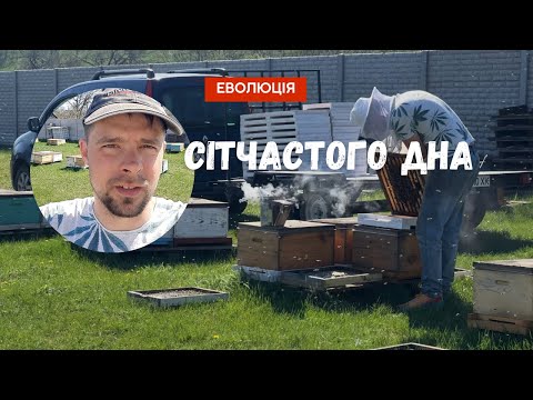 Видео: Сітчасте дно: чому і як я перевів всю пасіку на нього