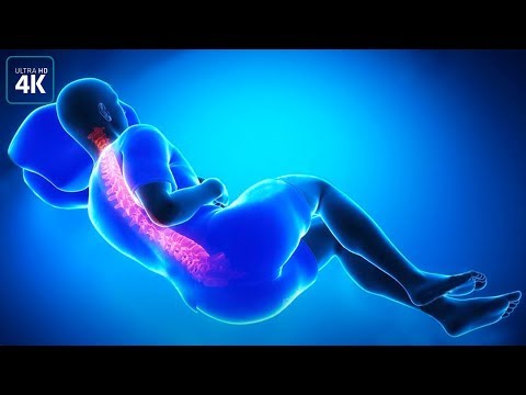 Видео: Вот для чего мы видим сны!