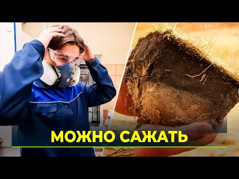 Видео: Исследования сельского хозяйства Ямала на страницах международного журнала