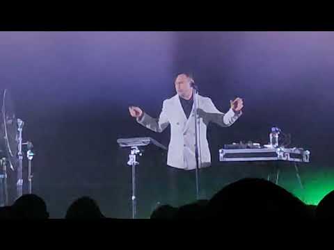 Видео: "Тебя"  Дельфин в клубе Аврора 14.02.2025г.