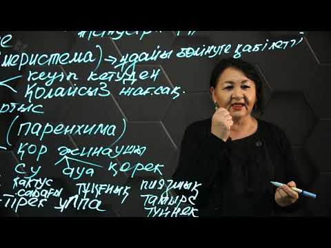 Видео: Өсімдіктер мен жануарлардың ұлпаларын жіктеу. 8 сынып.