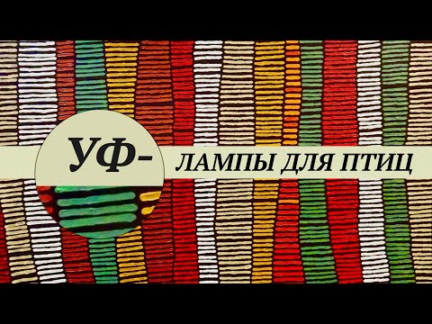 Видео: Ультрафиолетовые лампы для птиц.  Всё что нужно знать об УФ освещении. Что значат параметры лампы.