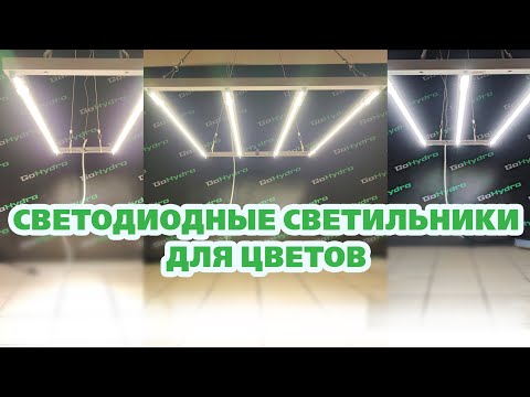 Видео: Фитолампы для кактусов и суккулентов Samsung LM301B 5000K