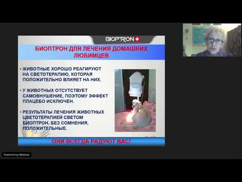 Видео: Вебинар | Биоптрон -  свет который лечит | Курочкина ЕР