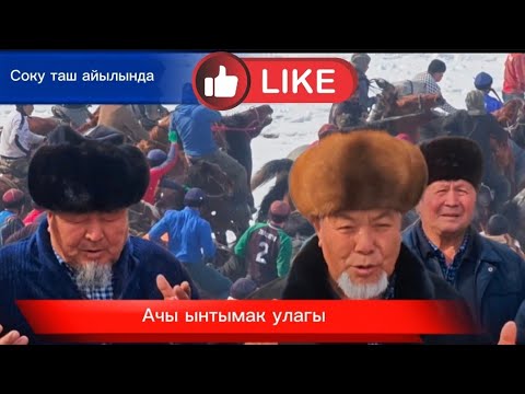Видео: Ачы ынтымагы Соку ташта