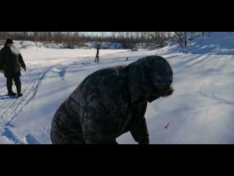 Видео: Лозьва начало марта.