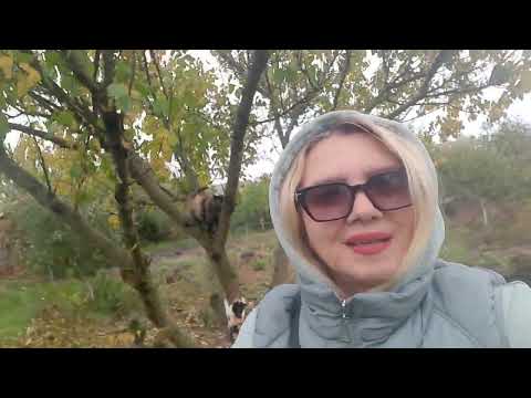 Видео: Похід в шикарний бутик 😉#