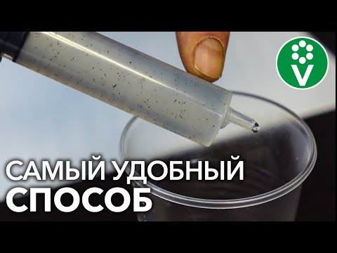 Видео: Простая ХИТРОСТЬ ПРИ ПОСЕВЕ МЕЛКИХ СЕМЯН от опытных цветоводов!