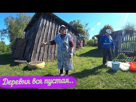 Видео: Деревня Матюково/ Жизнь в деревне /Заброшенные деревни/ Калужская область