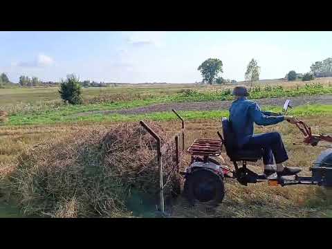 Видео: Мотоблок МТЗ, работа волокуши