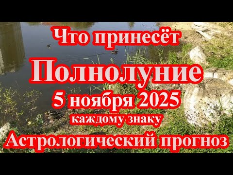 Видео: Что принесёт Полнолуние 5 ноября 2025 каждому знаку
