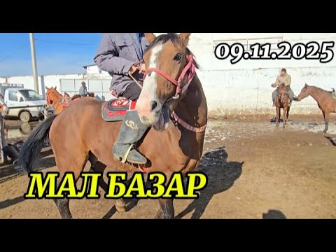 Видео: МАЛ БАЗАР / ЖЫЛҚЫ БАҒАСЫ