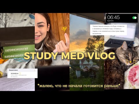 Видео: study med vlog: моя реалистичная сессия💦 part 2