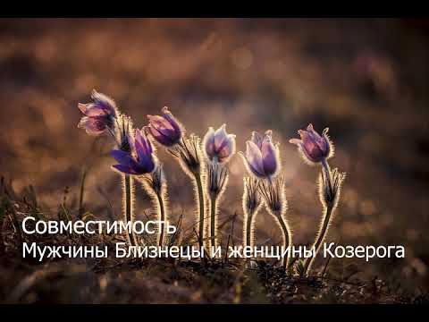 Видео: Совместимость мужчины Близнецы и женщины Козерога