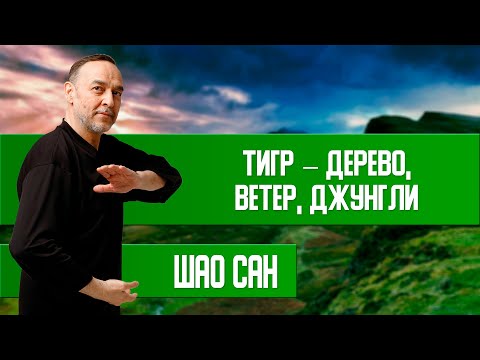 Видео: Игра 5 Зверей — Стихия Дерево — Тигр