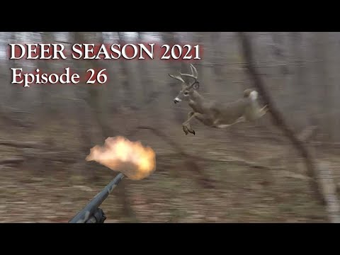 Видео: БЕЗУМНАЯ ОХОТА НА ОЛЕНЕЙ! — ОЛЕНИ БЕГУТ ВЕЗДЕ! — 3 ОЛЕНЯ УНИЧТОЖЕНЫ ЧЕТЫРЬМЯ ПАРАШКАМИ! — Md Shot...