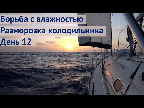 Видео: Борьба с влажностью  Разморозка холодильника | Трансатлантика день 12