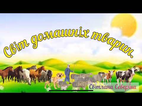 Видео: Світ домашніх тварин.