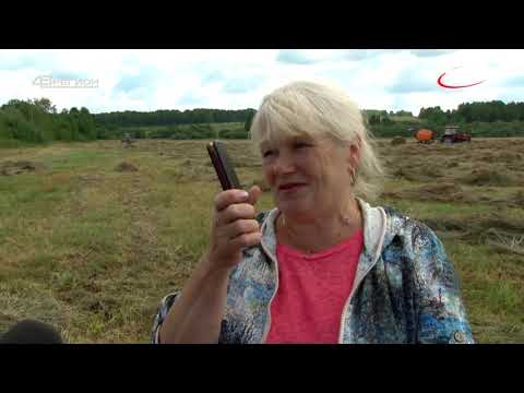 Видео: Дороги деревенские 16.07