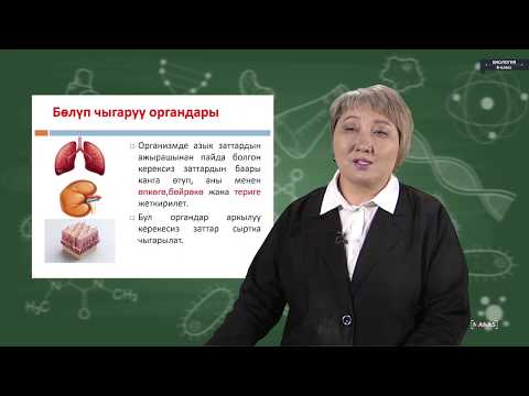 Видео: Биология - 8 класс - Тери