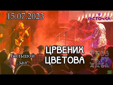 Видео: Црвених Цветова |Фузз и Дружжба| 15.07.2023  [Санкт-Петербург]