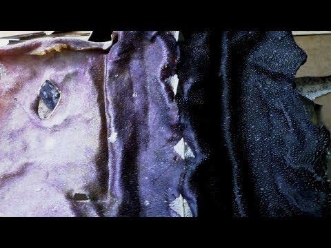 Видео: КАК ВЫДЕЛАТЬ КОЖУ РЫБЫ, СЕКРЕТ ВЫДЕЛКИ КОЖИ РЫБ. 2 часть.