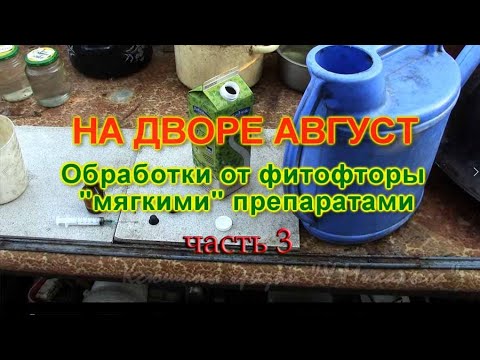 Видео: На дворе Август.  Обработка от фитофторы.  (Третья часть)