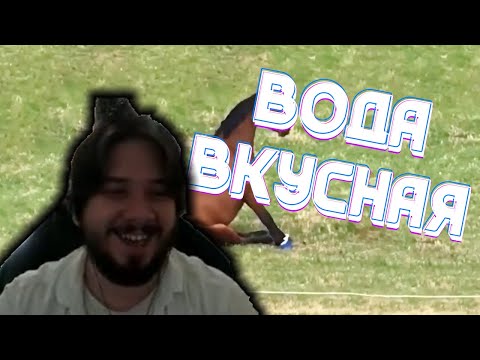 Видео: TheRudyGames СМОТРИТ - UNUSUAL MEMES COMPILATION V235