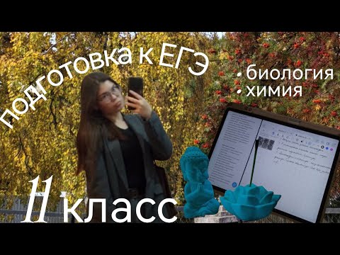 Видео: Подготовка к ЕГЭ в 11 классе 🍂| борьба с прокрастинацией #study #школа #егэ 