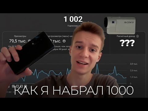 Видео: Как я набрал 1000 подписчиков за 4 месяца?