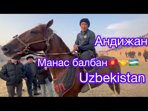 Видео: 🇰🇬🔥Манас балбан Узбекистанда🇺🇿Андижан