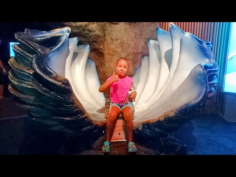 Видео: Я приехала в аквариум в Валенсии