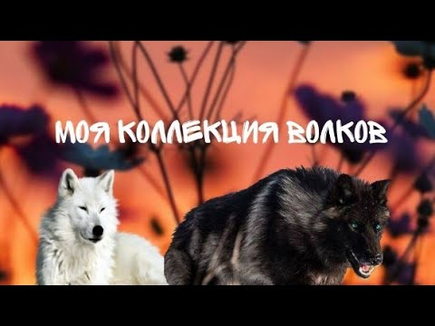 Видео: /моя коллекция волков/
