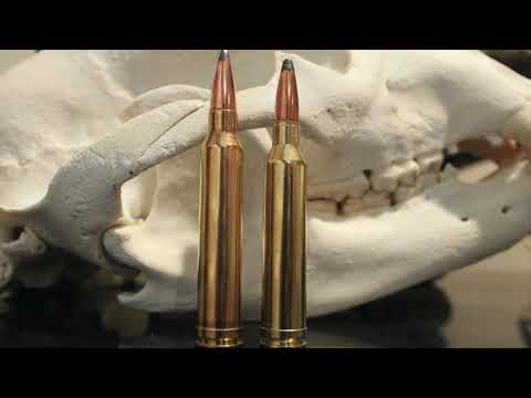 Видео: 7mm Rem Mag против 300 Win Mag: решающее противостояние!