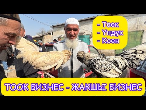 Видео: Муну КАРАГЫЛА  ~  БАЗАР таза КЫЗЫДЫ го  -  Тоок базар, Коен базар, Үндүк базар