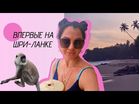 Видео: Путешествие на Шри-Ланку: мой опыт. Погода в апреле, волны в Тангалле, экскурсии и не только