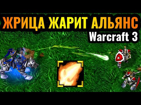 Видео: ЖРИЦА ЛУНЫ УДИВИЛА АЛЬЯНС: Забытая имба последнего патча вернулась в Warcraft 3 Reforged