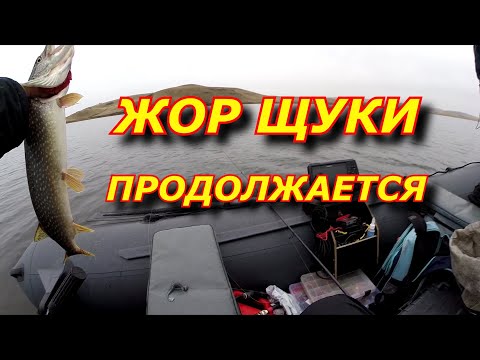 Видео: ЩУКА. ОСЕННИЙ ЖОР !!!  Поклёвки на каждом забросе / День 2-ой