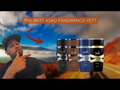 Видео: Первые мысли об эликсире Латтафа Асад