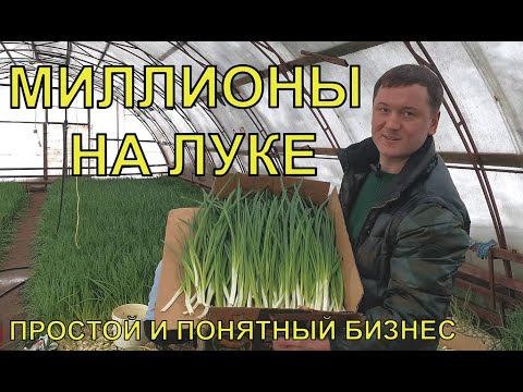 Видео: БИЗНЕС ЗИМОЙ. ВЫГОНКА ЛУКА НА ПЕРО. БИЗНЕС ИДЕЯ